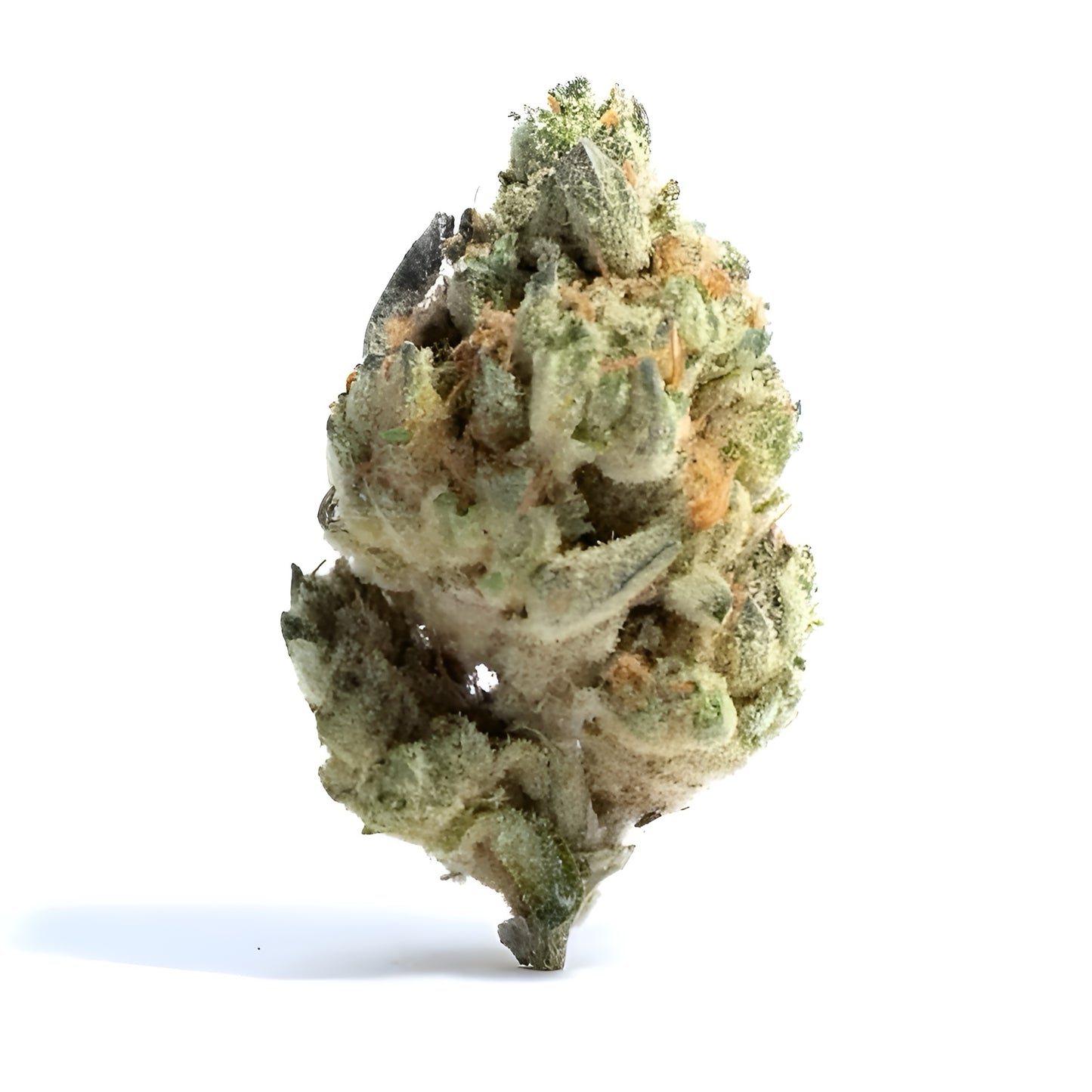 10g White Truffle THCa Flower