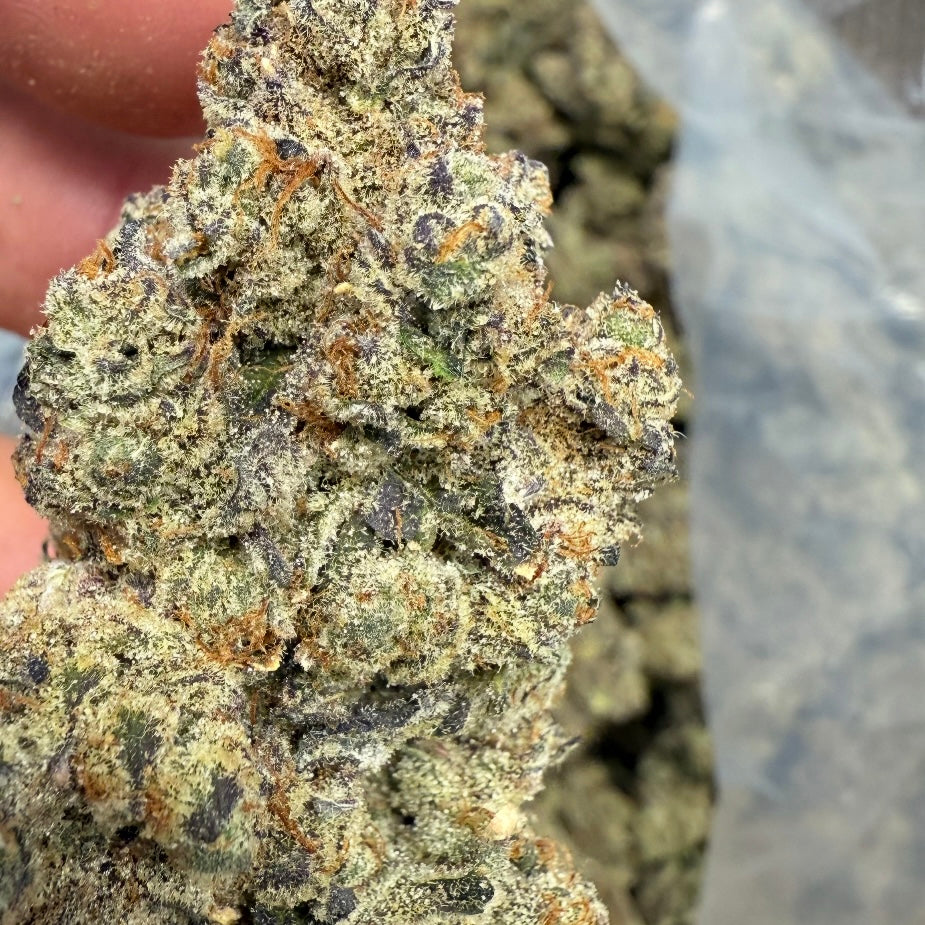 Vice city THCa strain