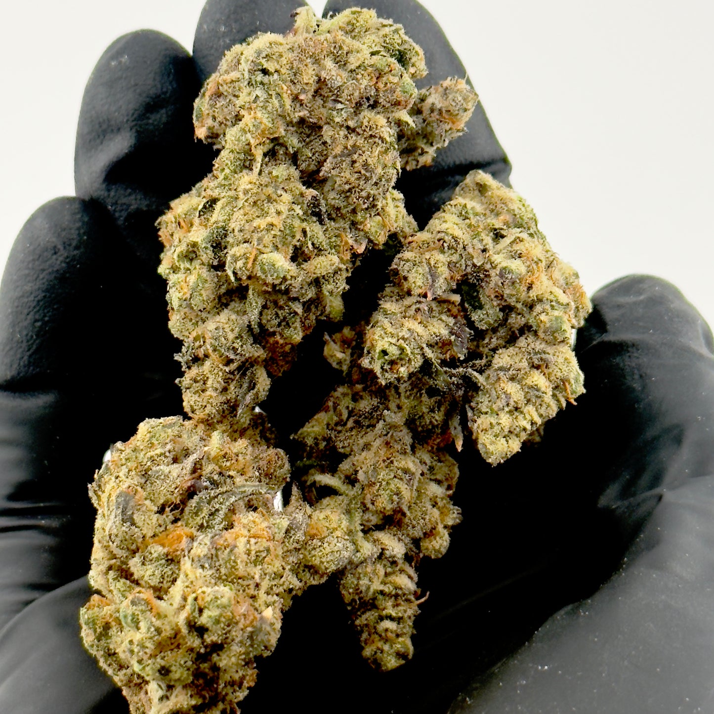 Vice city THCa strain