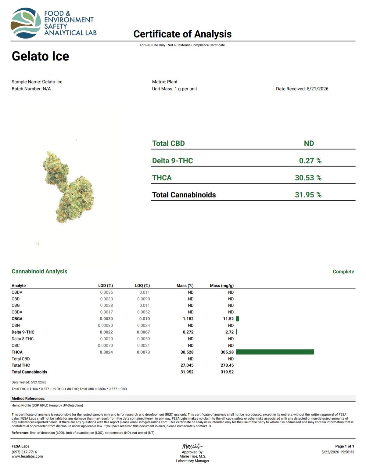THCa Flower | Gelato Ice Exotic