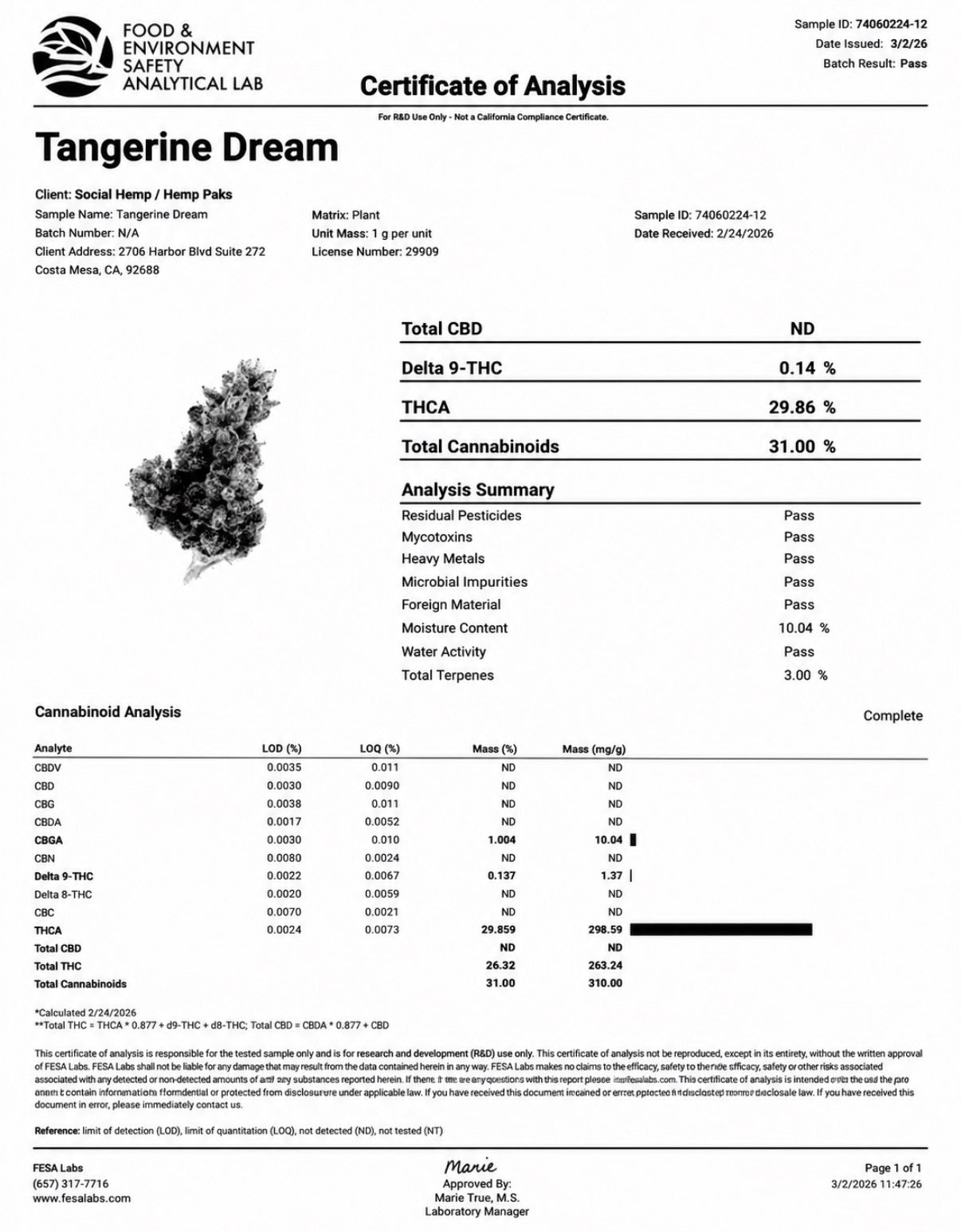 THCa Flower | Tangerine Dream