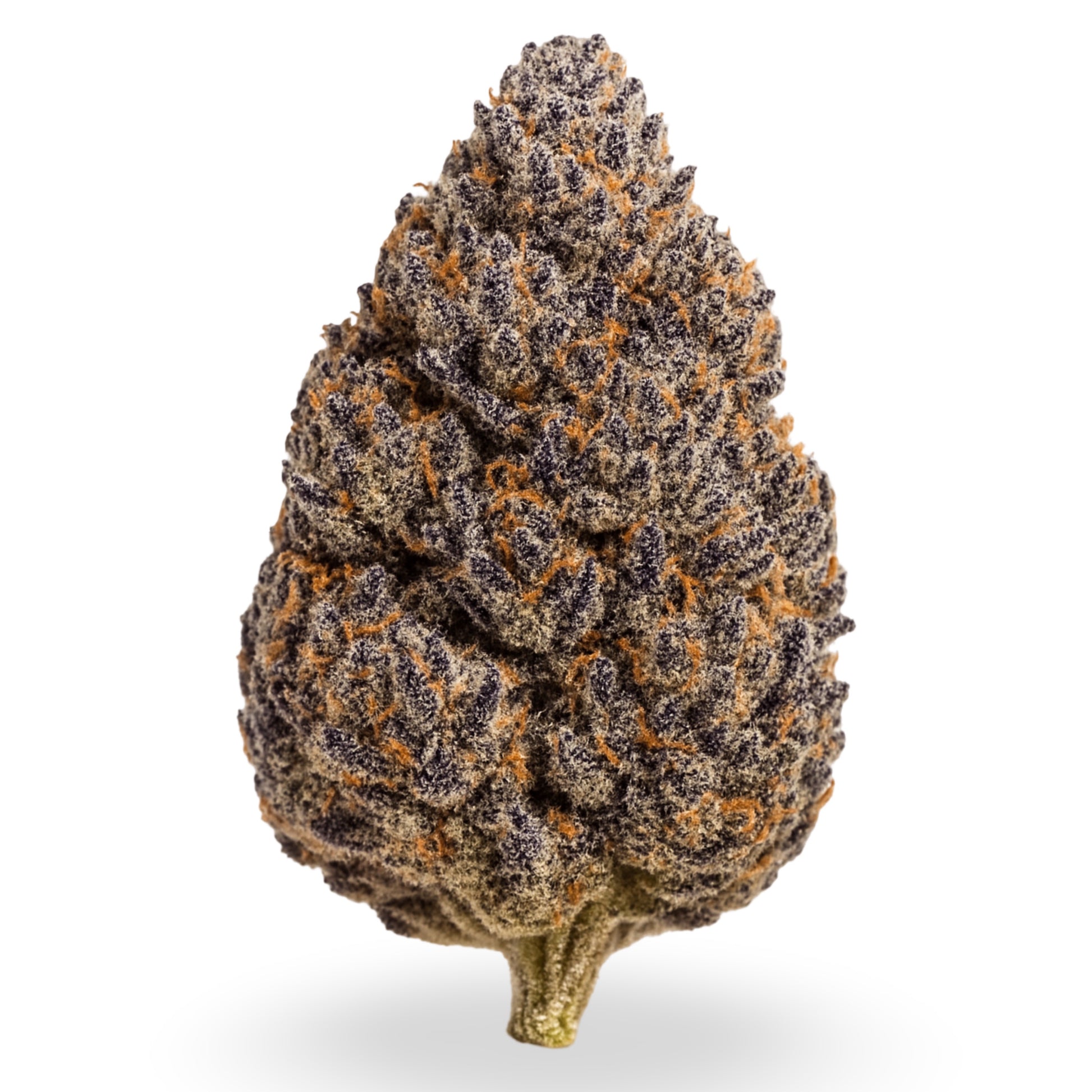 Hash burger exotic THCa strain