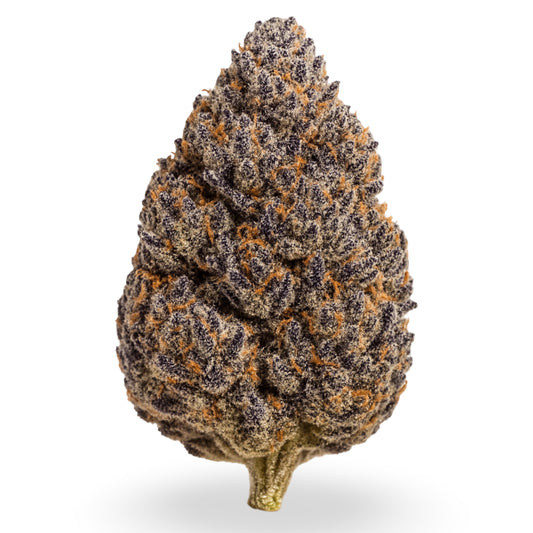 Hash burger exotic THCa strain