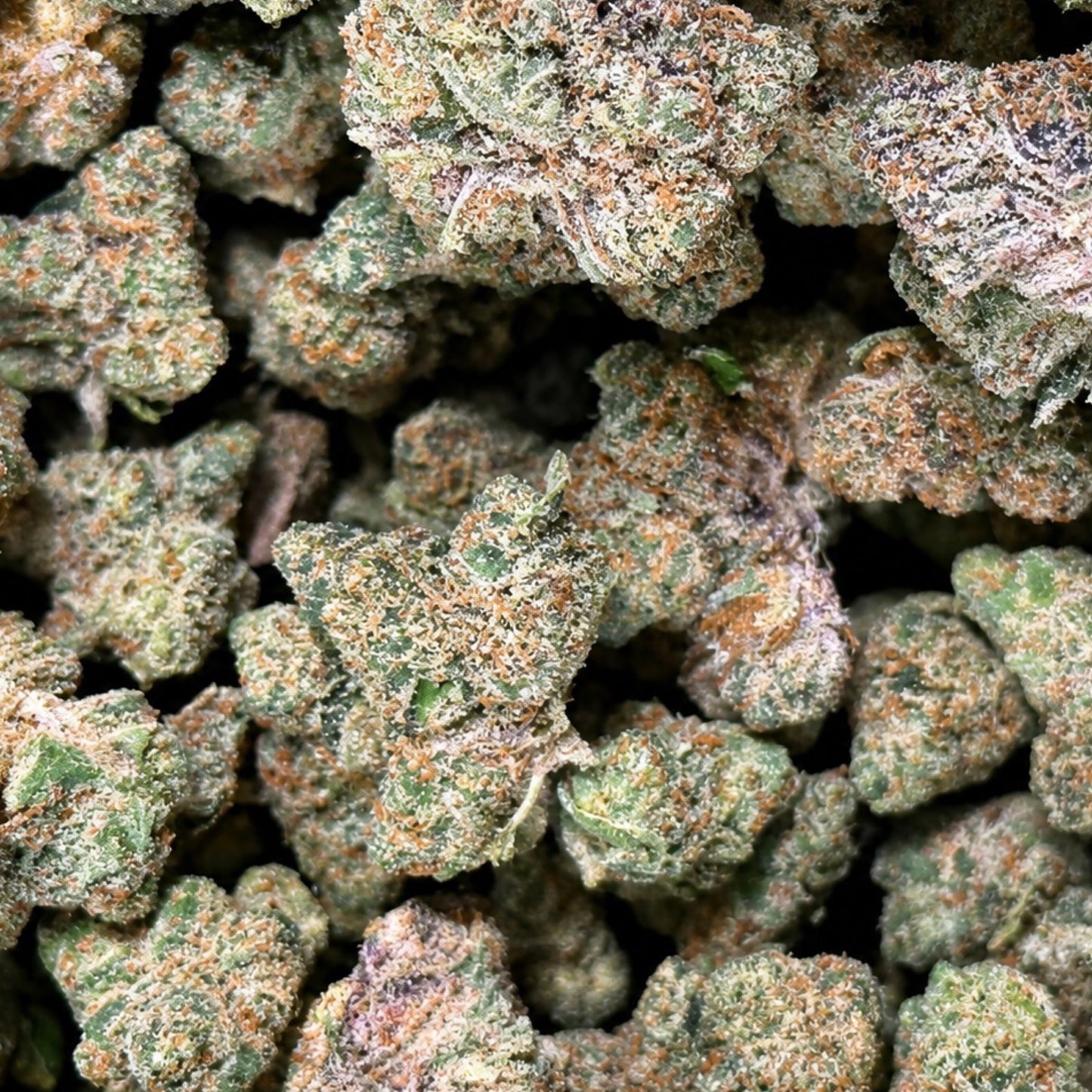THCa Flower | Super Lemon Haze Exotic