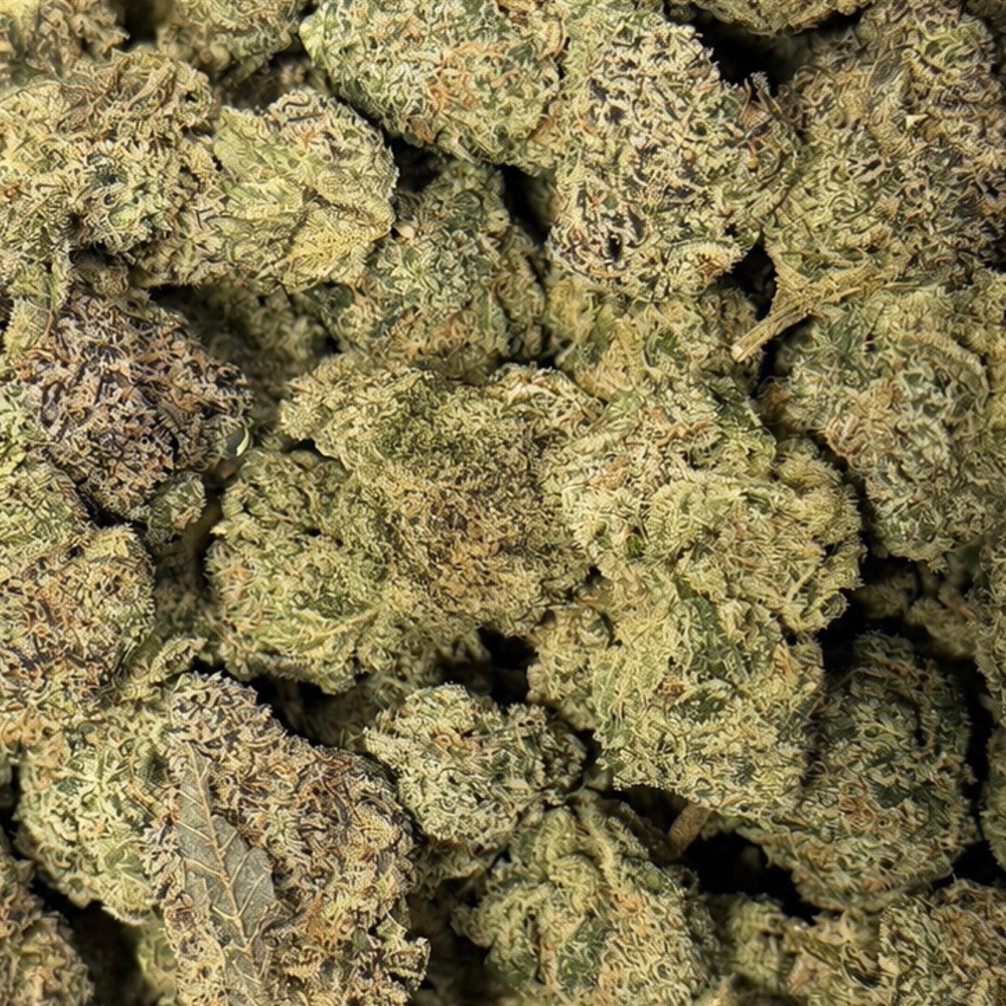 THCa Flower | Blueberry Sugar