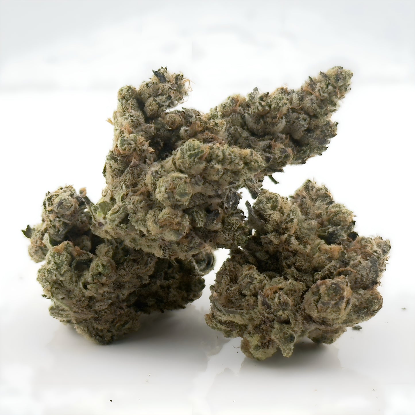 Vice city THCa strain