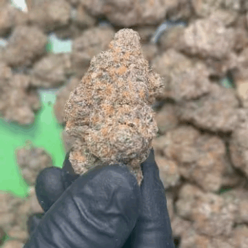 Glitter Bomb Exotic THCa Flower