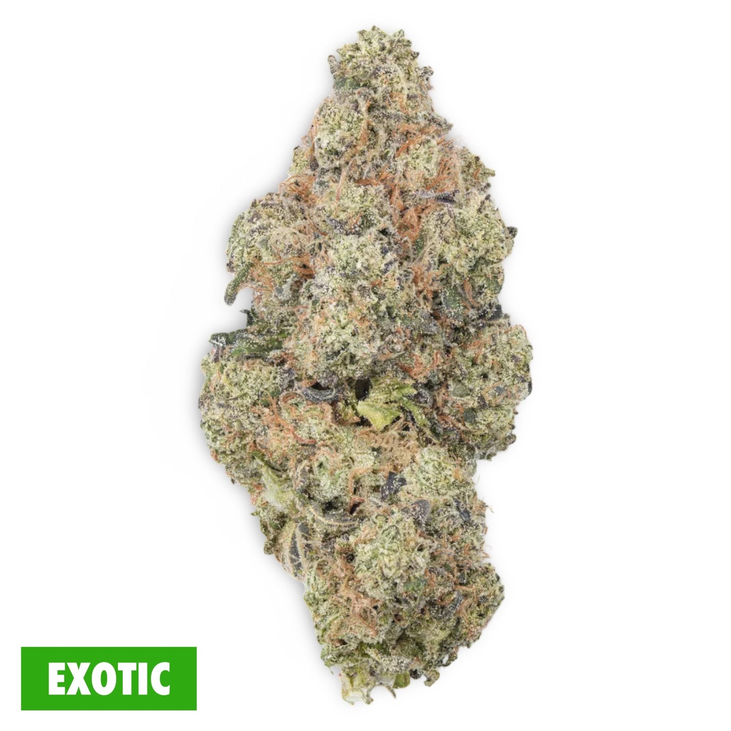 Hashburger THCa strain