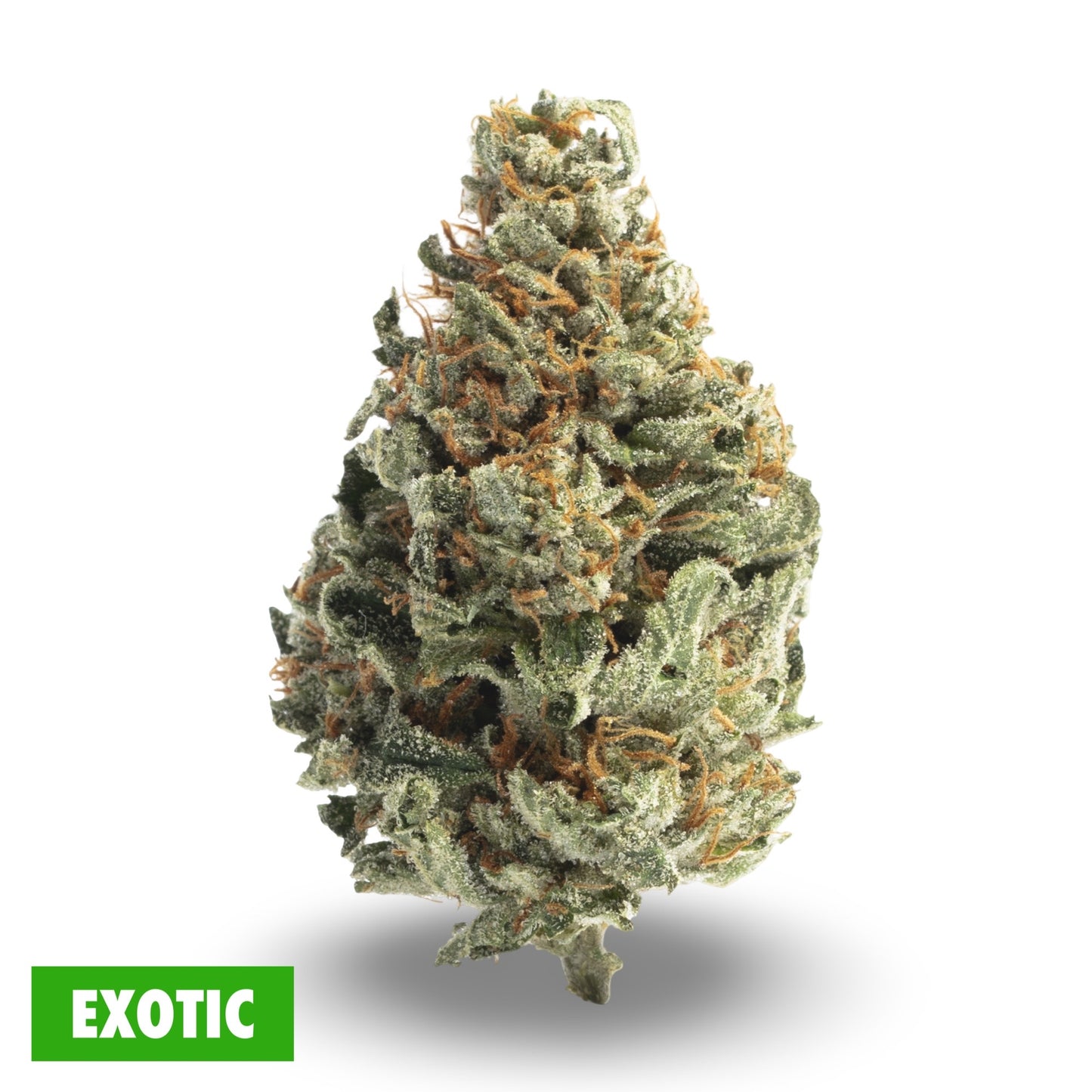 Vice city THCa flower strain