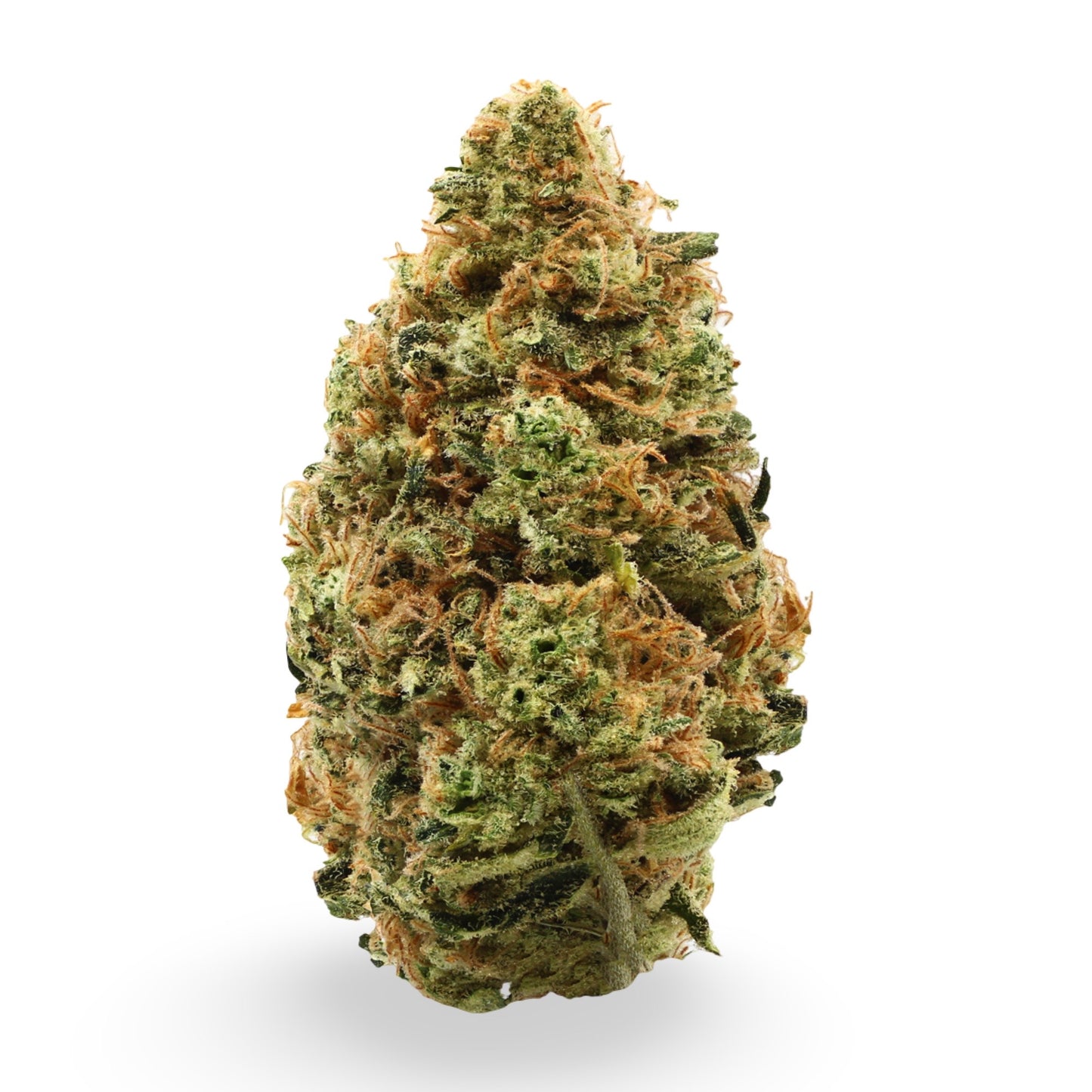 14g Apple Fritter THCa Flower