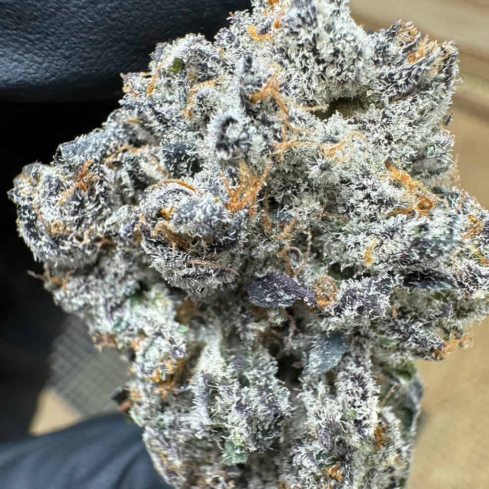 NEW: Dante’s Wrath Exotic THCa Flower