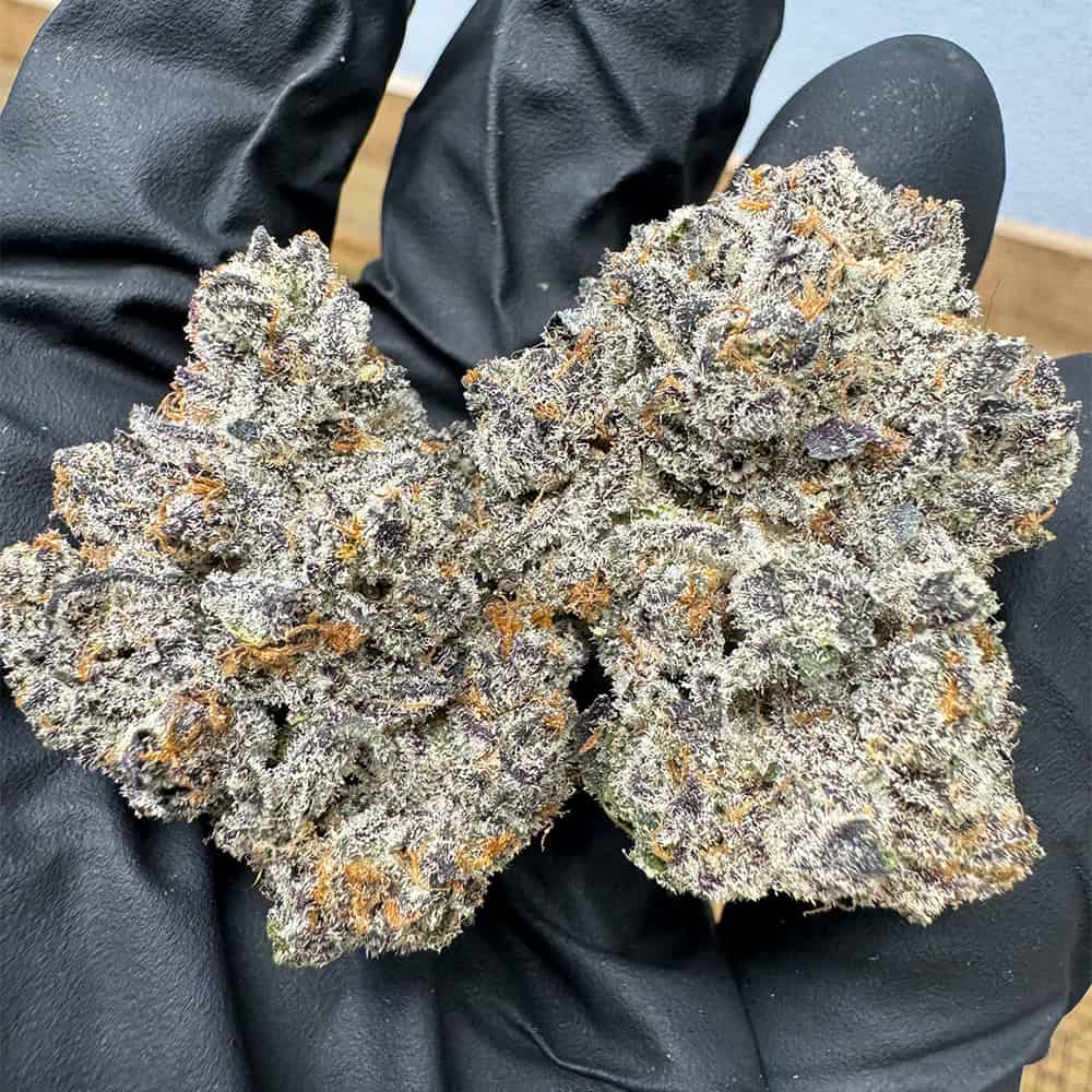 NEW: Dante’s Wrath Exotic THCa Flower