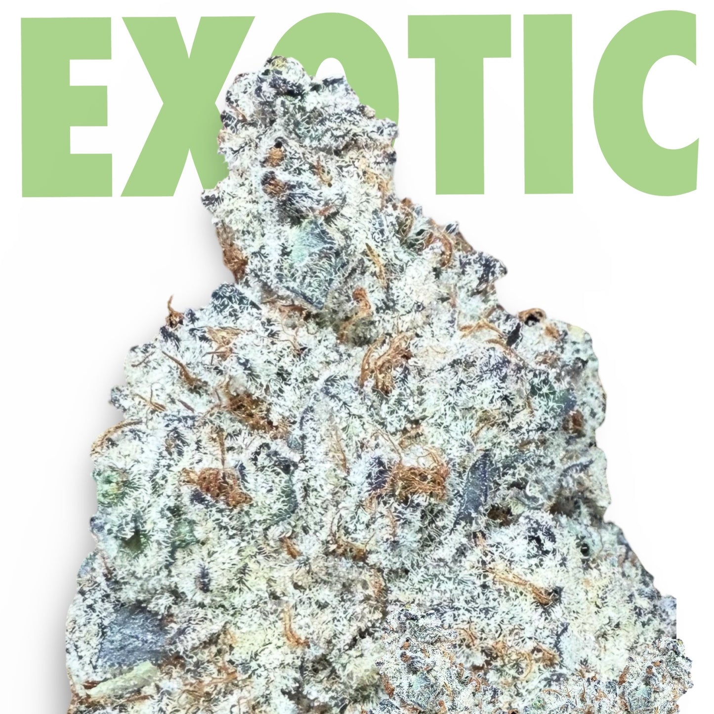 NEW: Oreoz Exotic THCa Flower