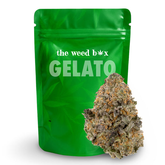 Gelato THCa strain