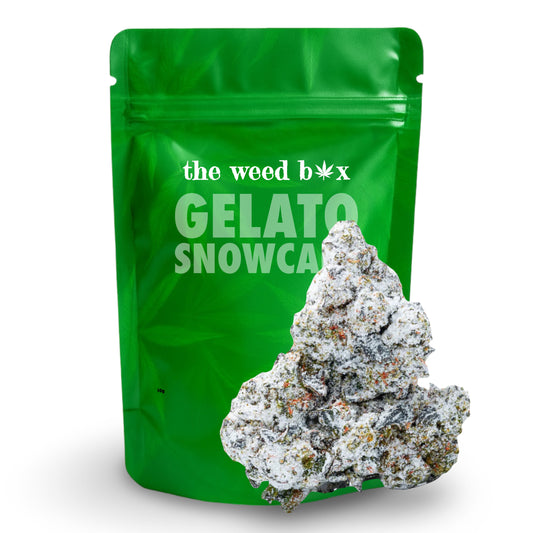 Gelato snowcaps THCa strain