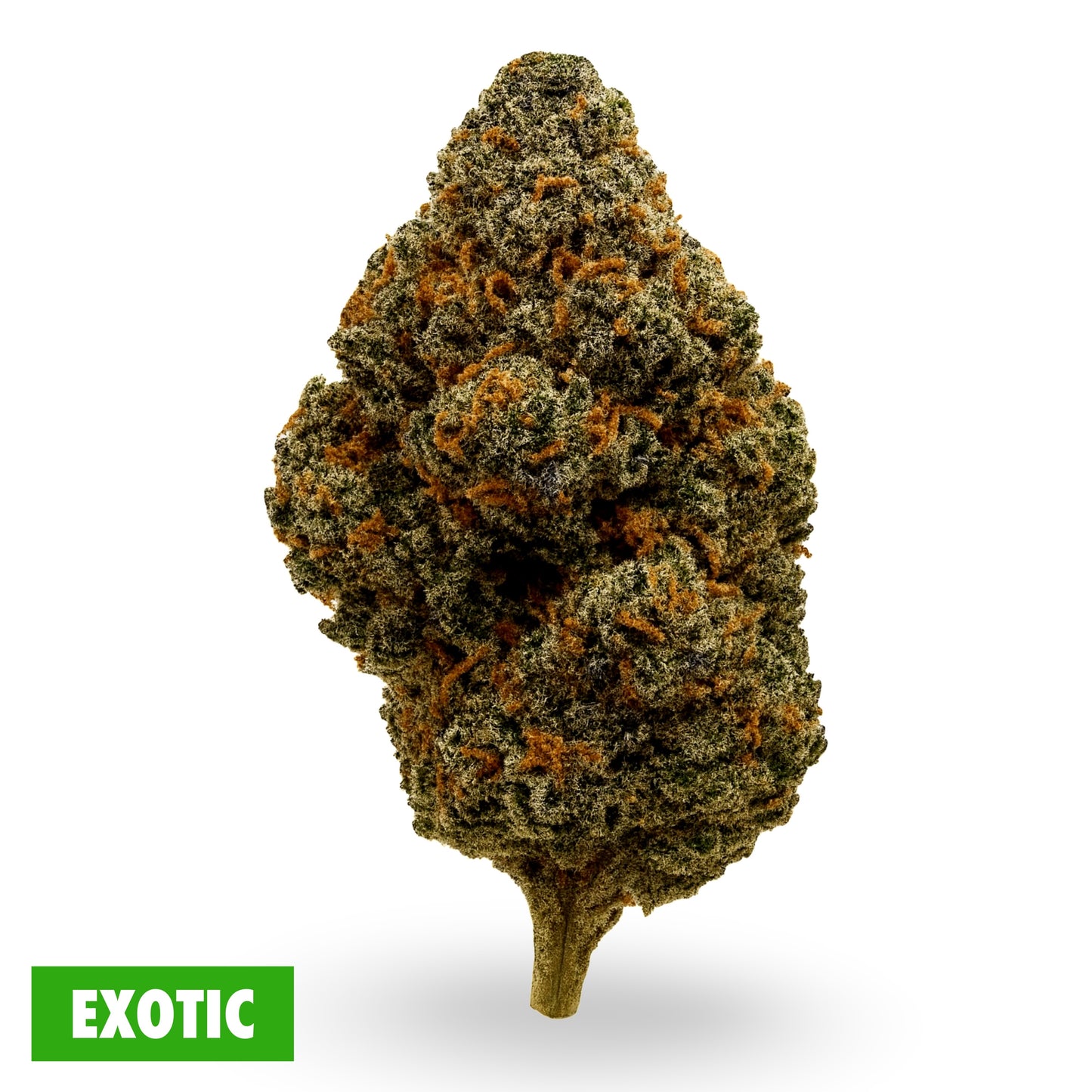 purple haze thca strain