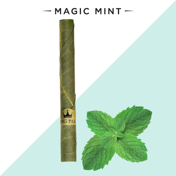 king palm magic mint