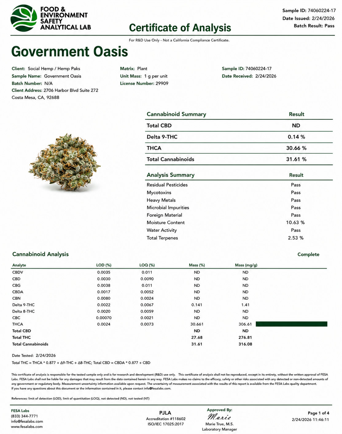THCa Flower | Government Oasis