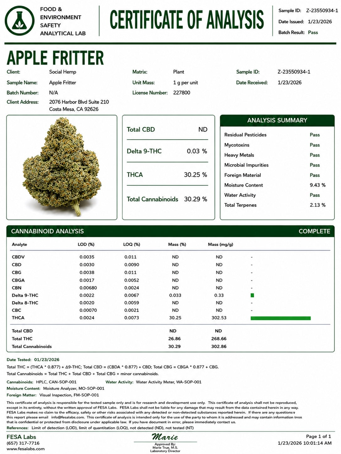 THCa Flower | Apple Fritter Exotic
