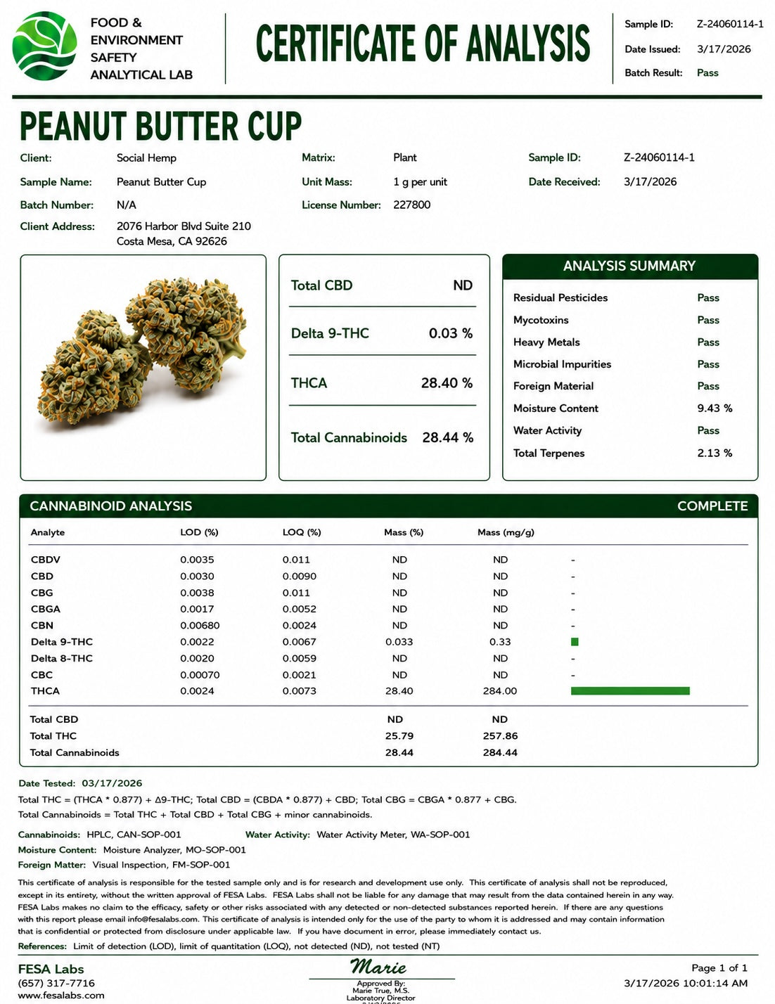 THCa Flower | Peanut Butter Cup Exotic