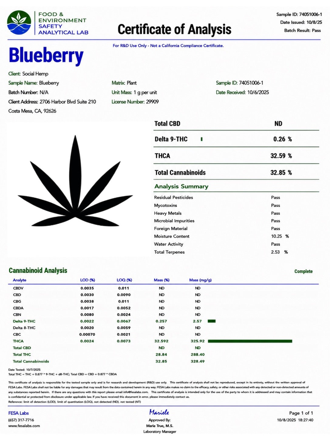 THCa Flower | Blueberry