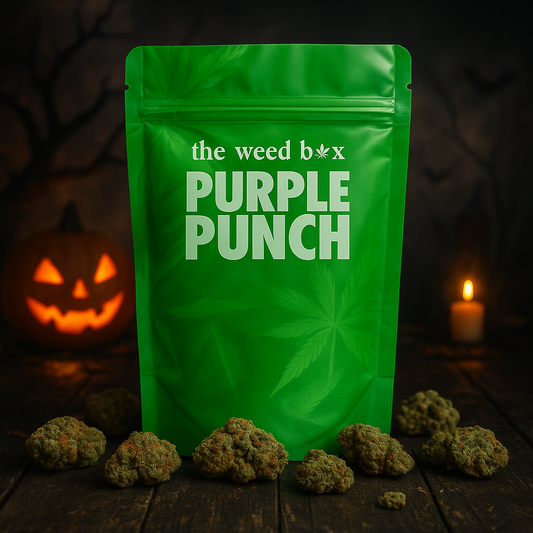Purple Punch THCa Strain