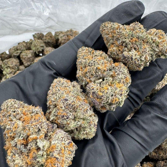 Purple Haze THCa strain