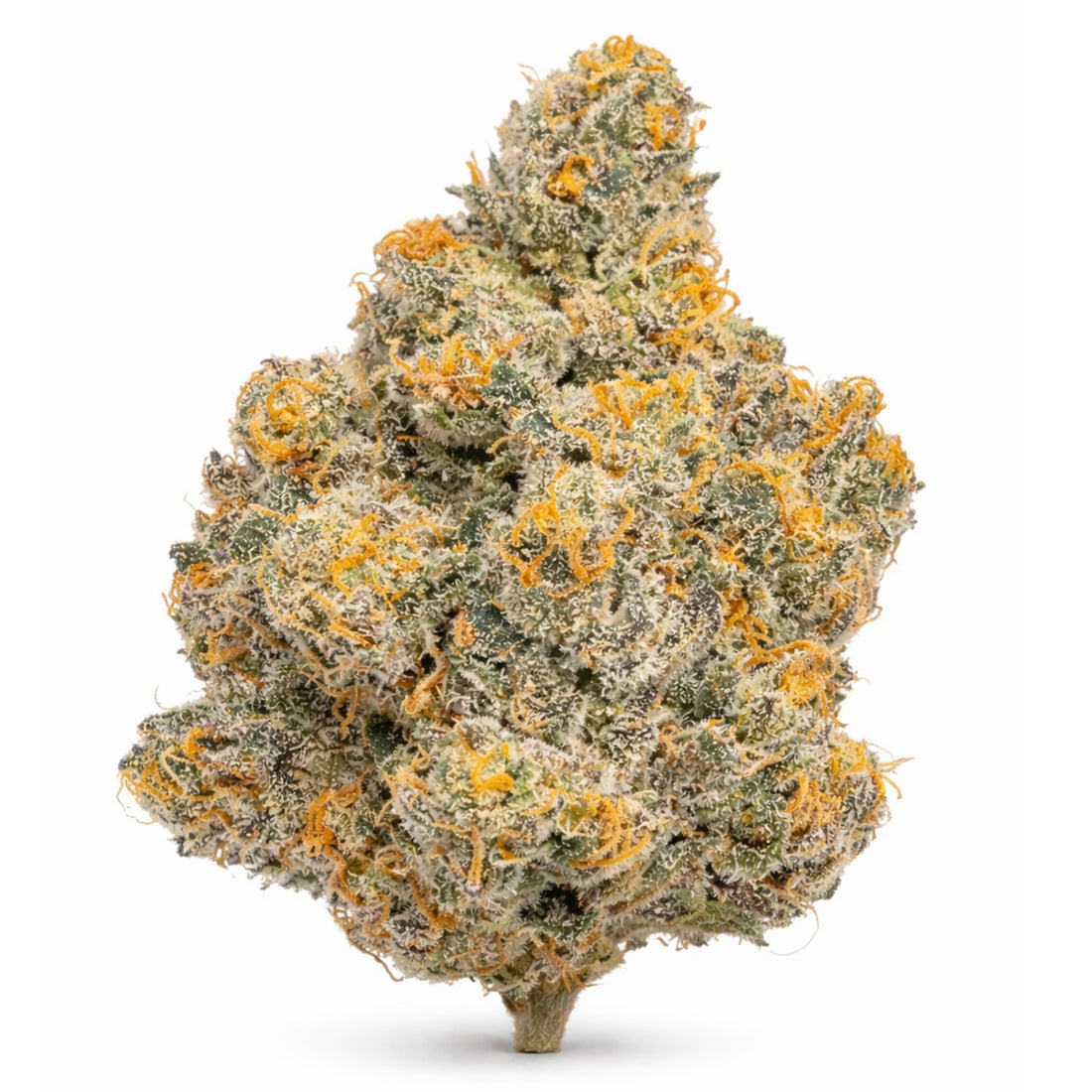 Purple Haze Cannabis Strain