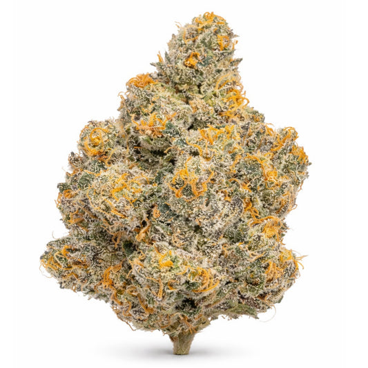 Purple Haze Cannabis Strain