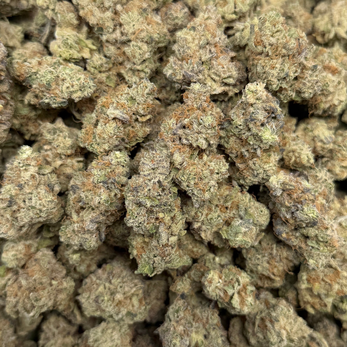 THCa Flower | Blueberry Sherb
