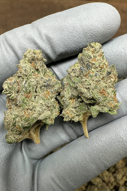 THCa Flower | Secret Cookies