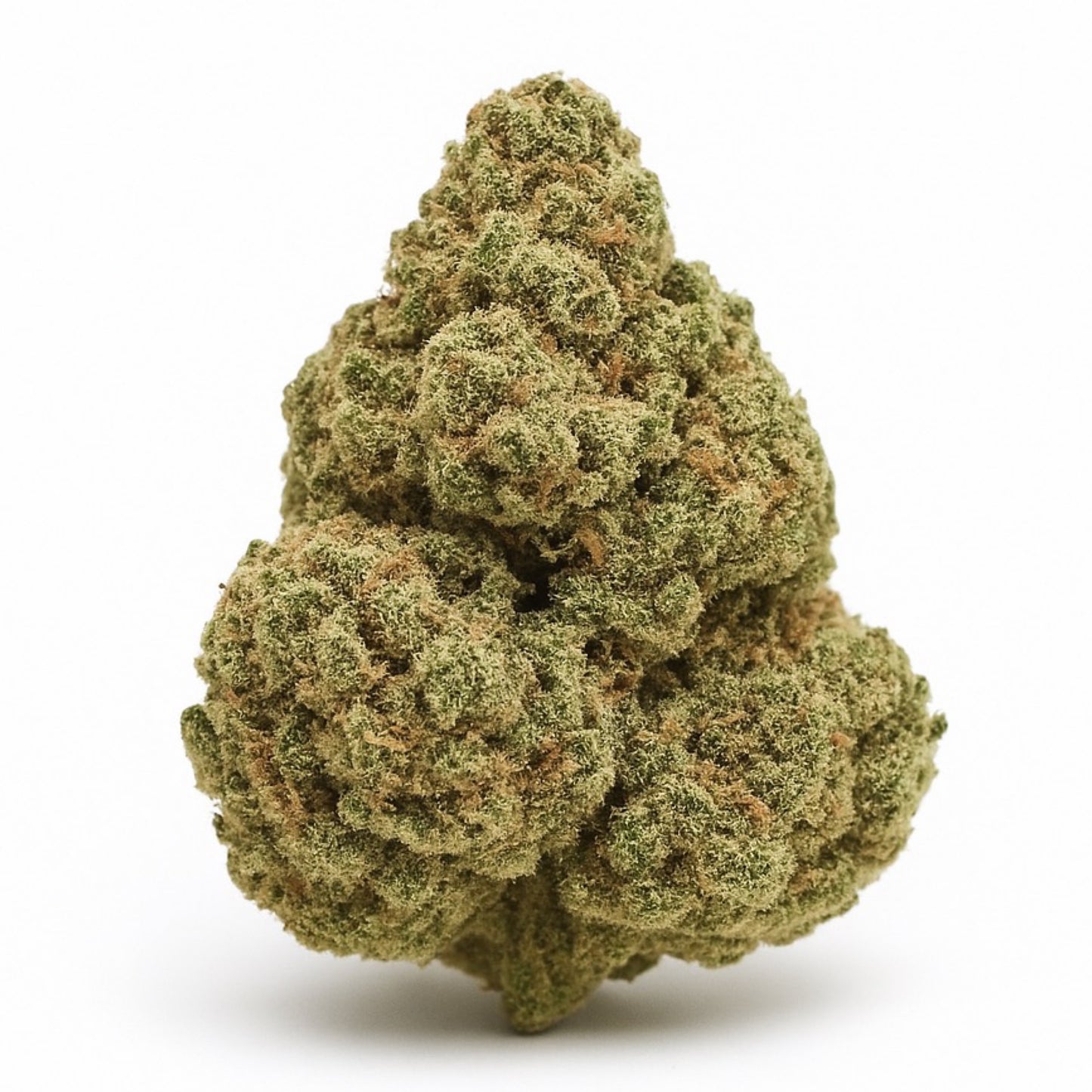 Blackscotti THCa strain