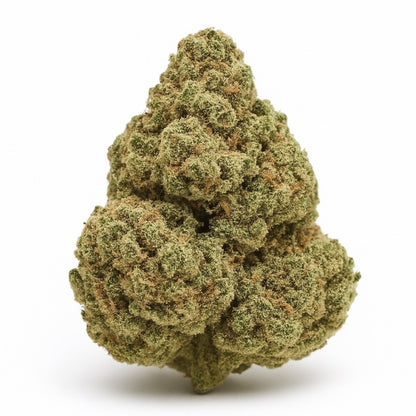 Blackscotti THCa strain