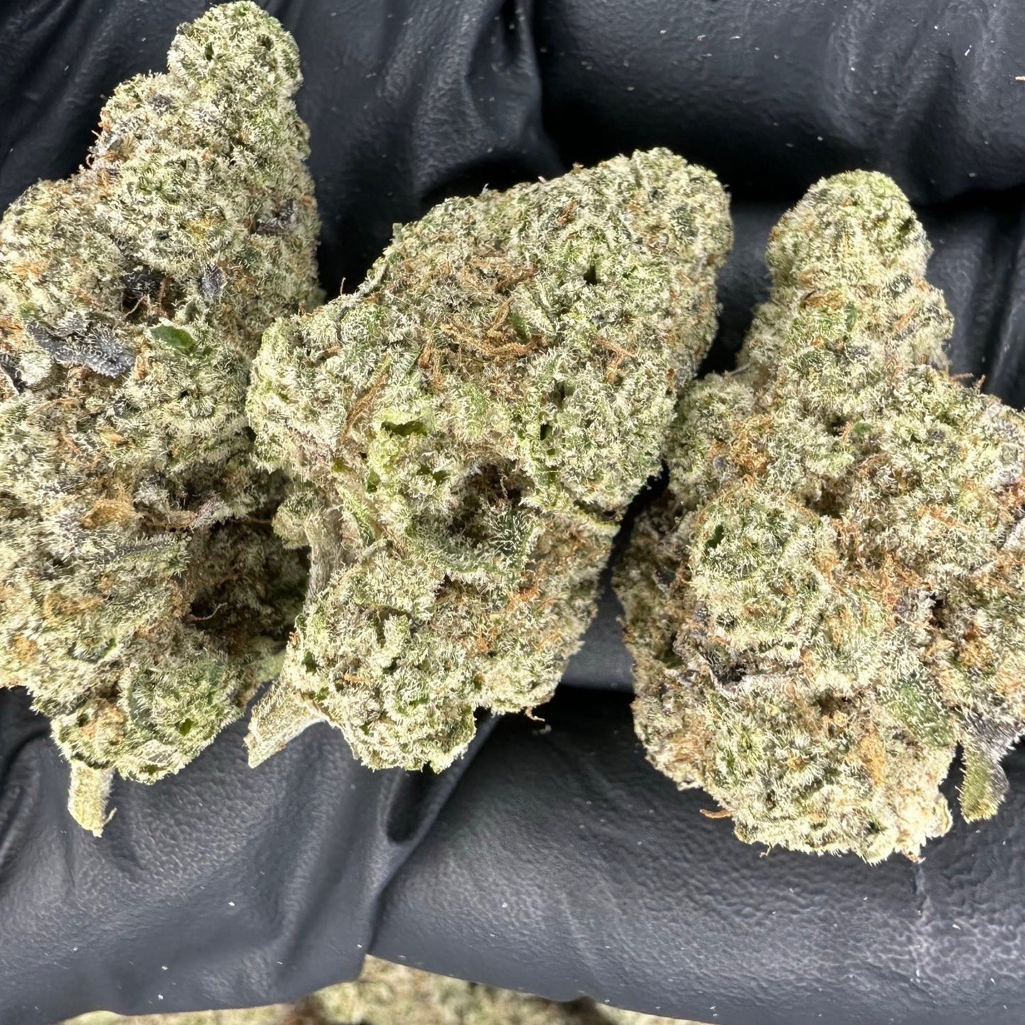 Bubblegum Gelato Exotic THCa Flower