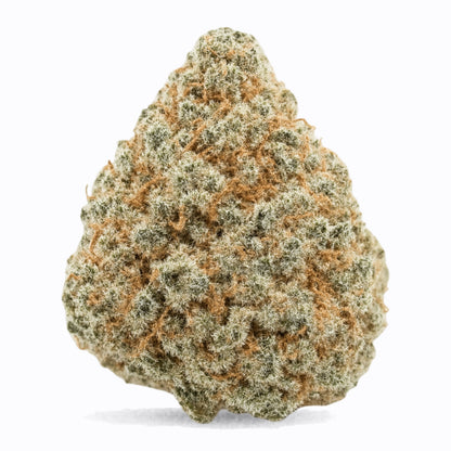 Bubblegum Gelato Exotic THCa Flower