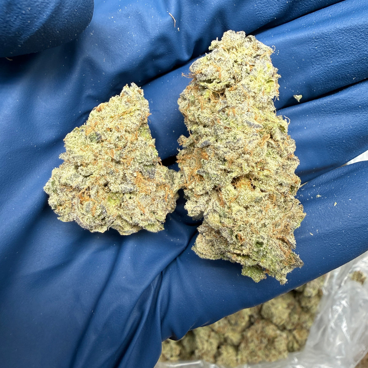 THCa Flower | Blueberry Sherb