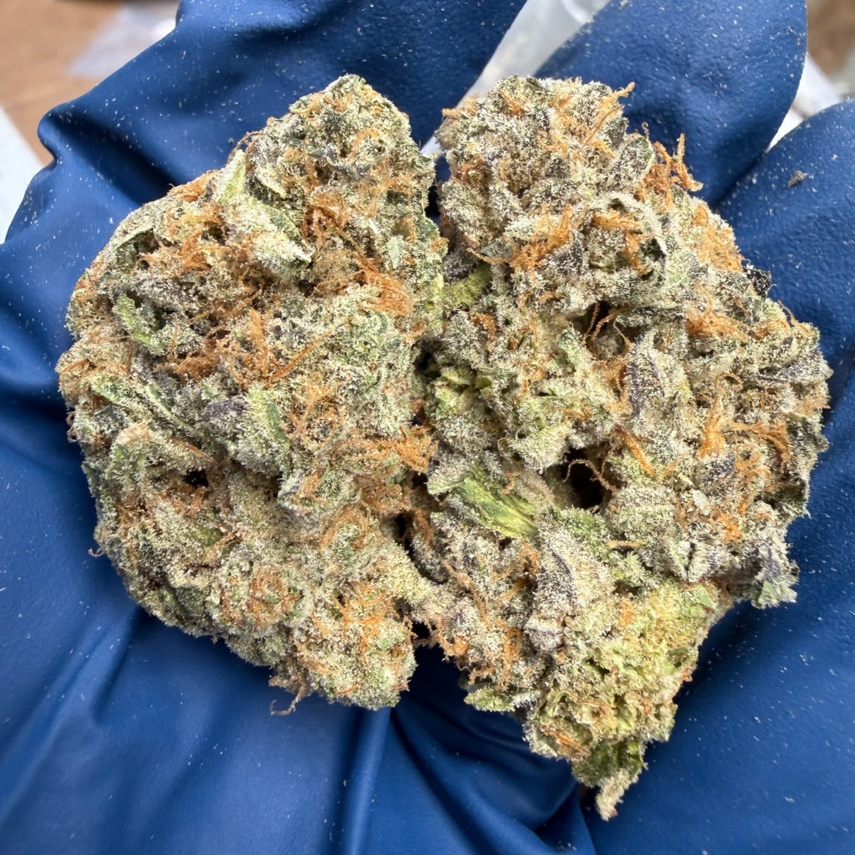 THCa Flower | Frosted Guava Exotic