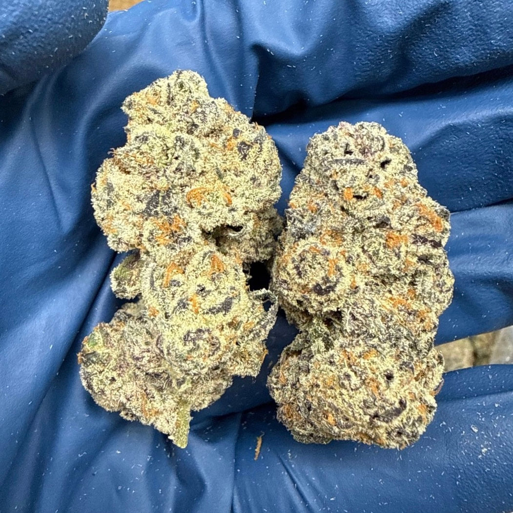 THCa Flower | Magic Marker Exotic