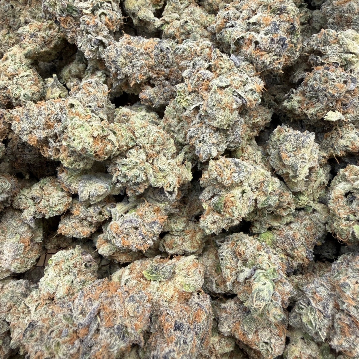 THCa Flower | Frosted Guava Exotic