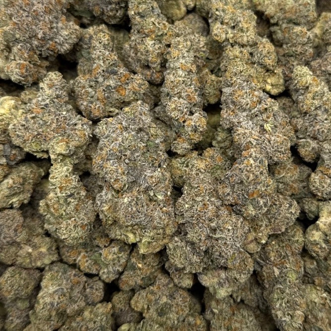 THCa Flower | Gushers Exotic