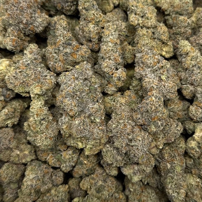 THCa Flower | Gushers Exotic