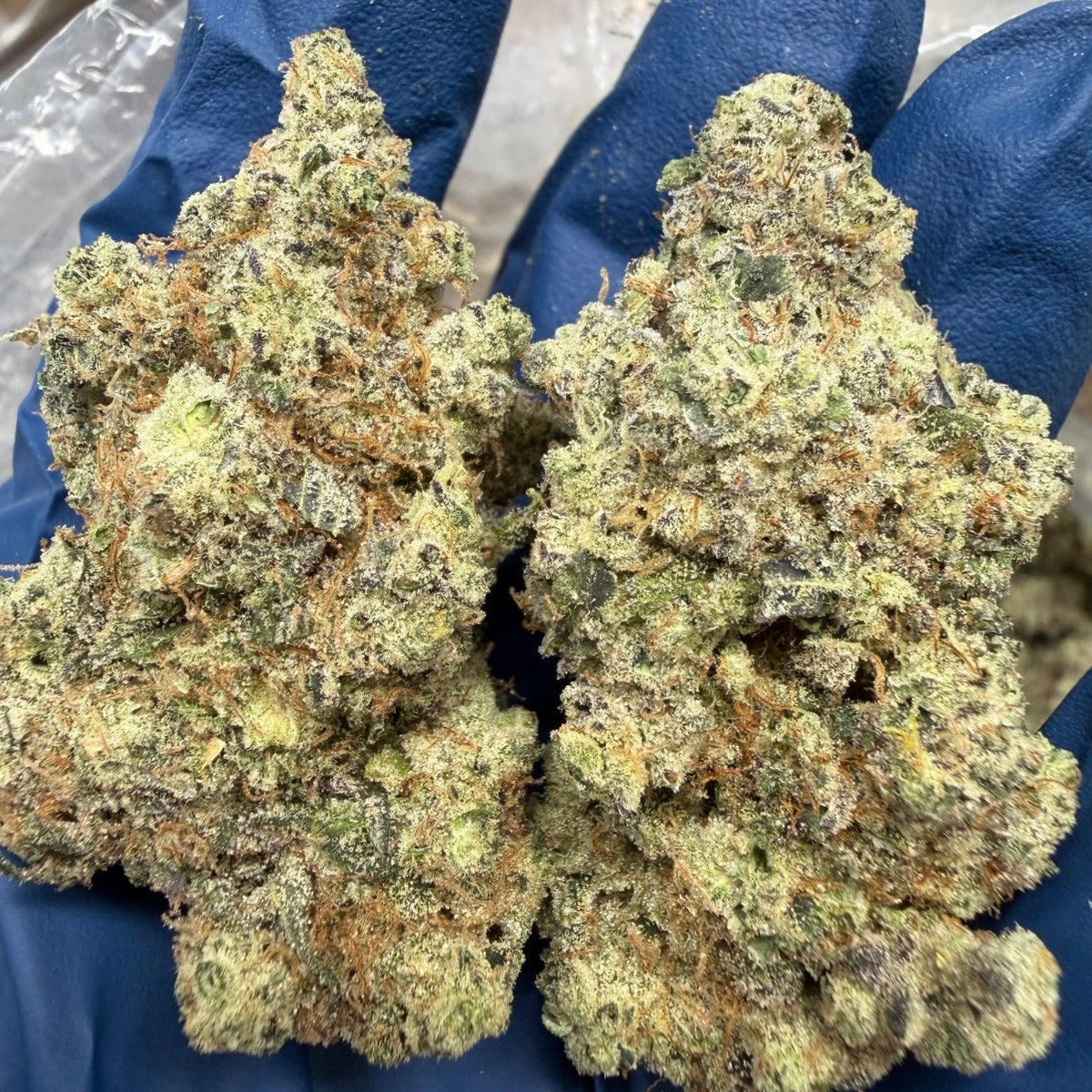 THCa Flower | GMO Exotic