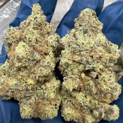 THCa Flower | GMO Exotic