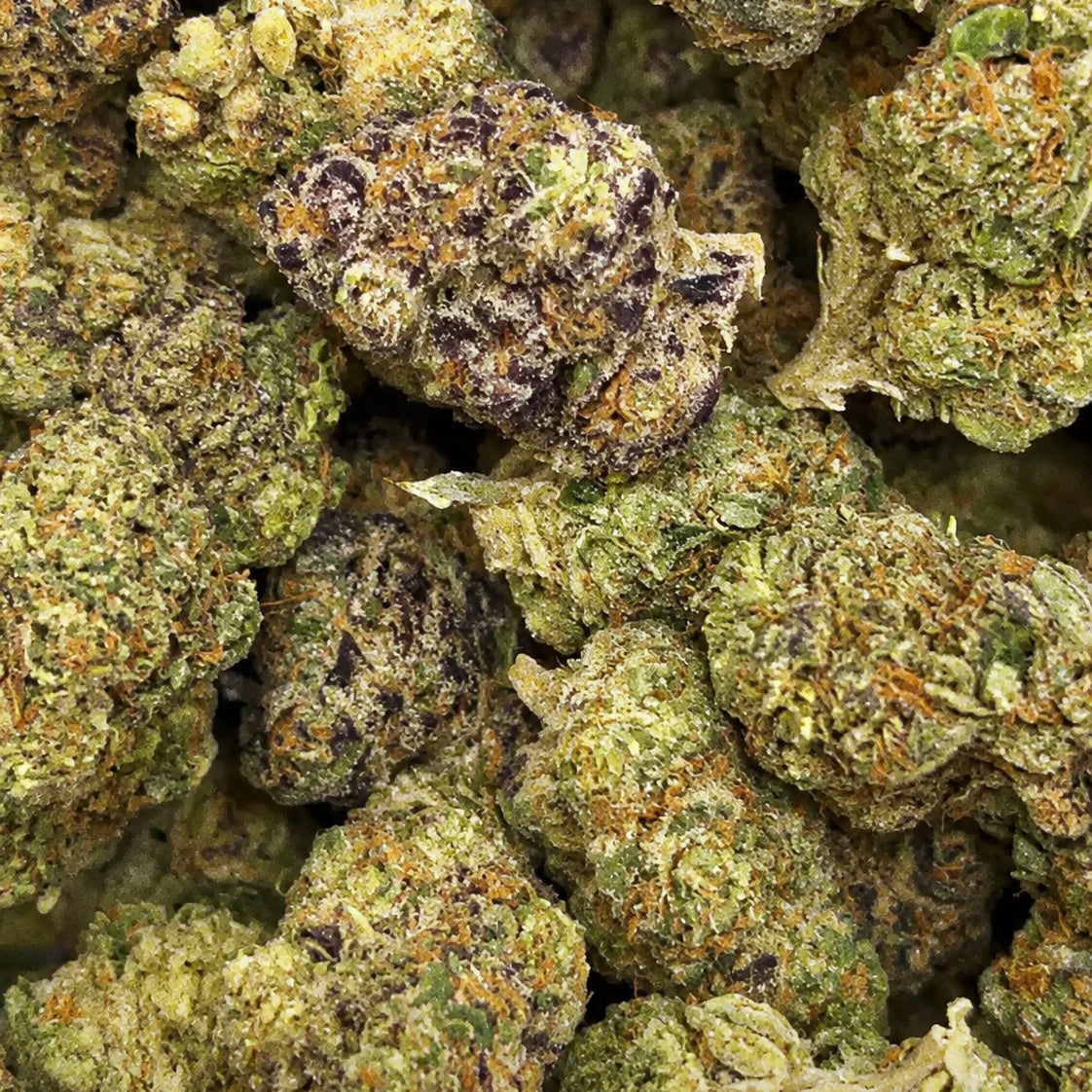 THCa Flower | Purple Crack Super Exotic