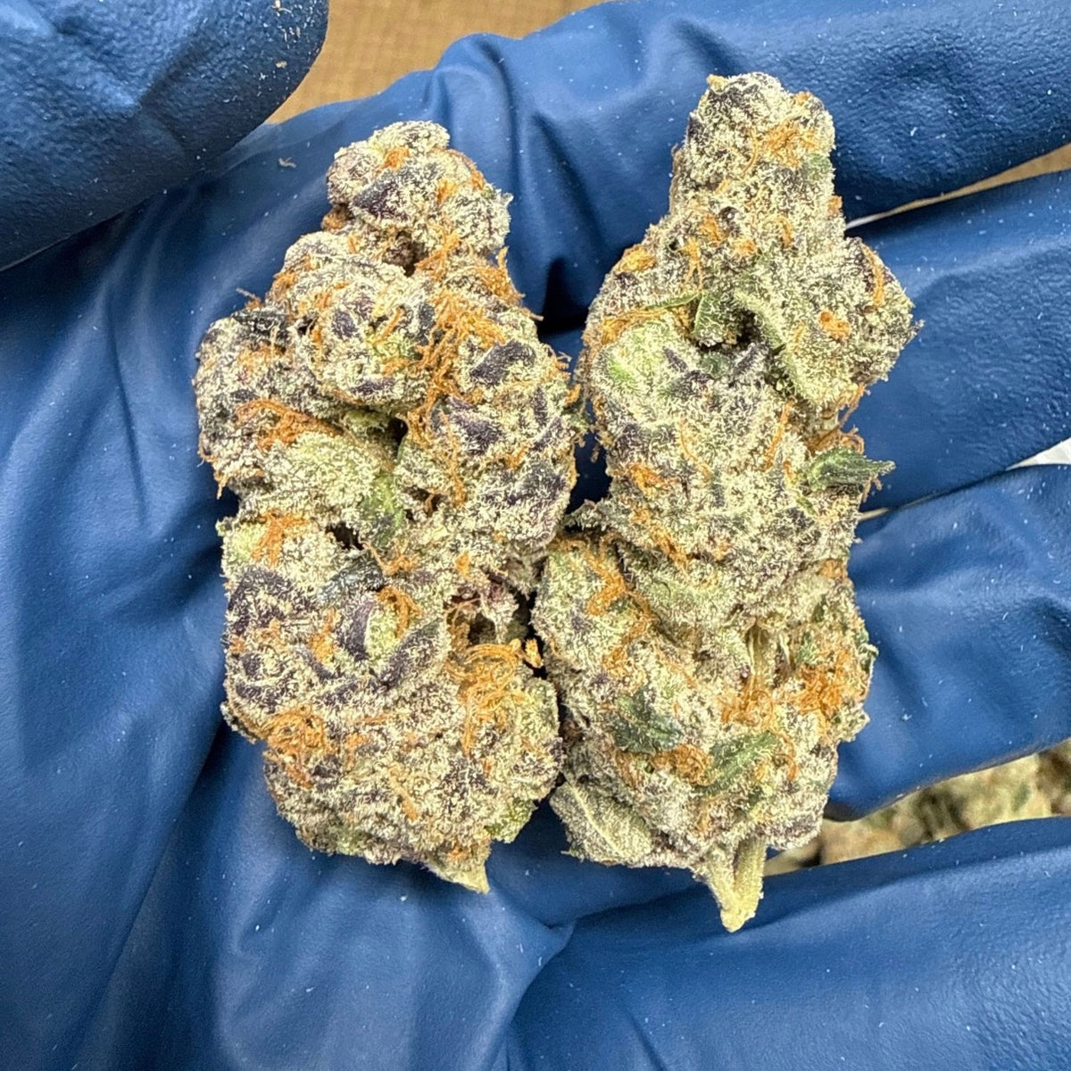 THCa Flower | Taffy Twist Exotic