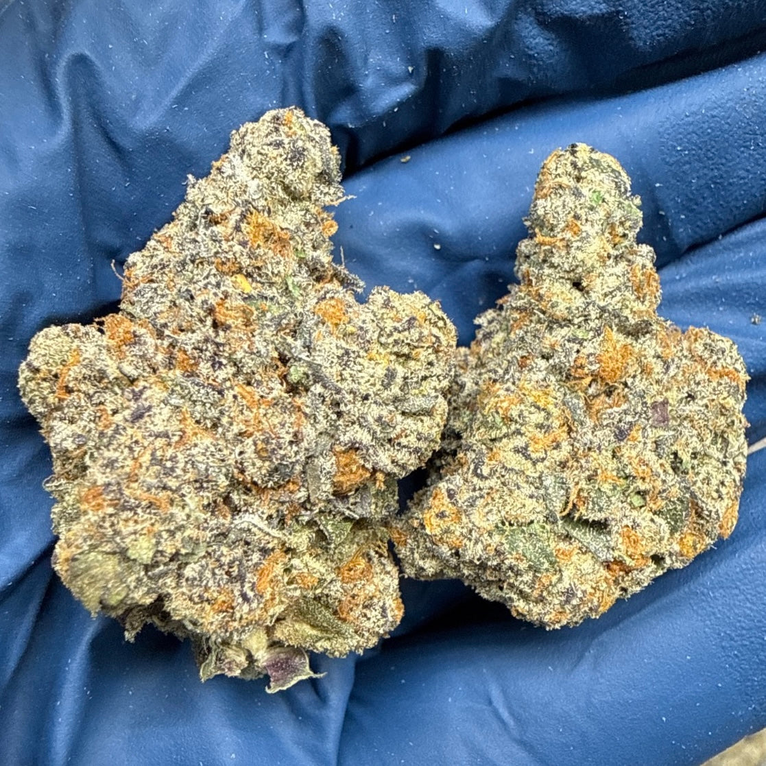THCa Flower | Gushers Exotic