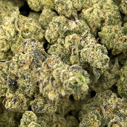 THCa Flower | French Kiss Super Exotic