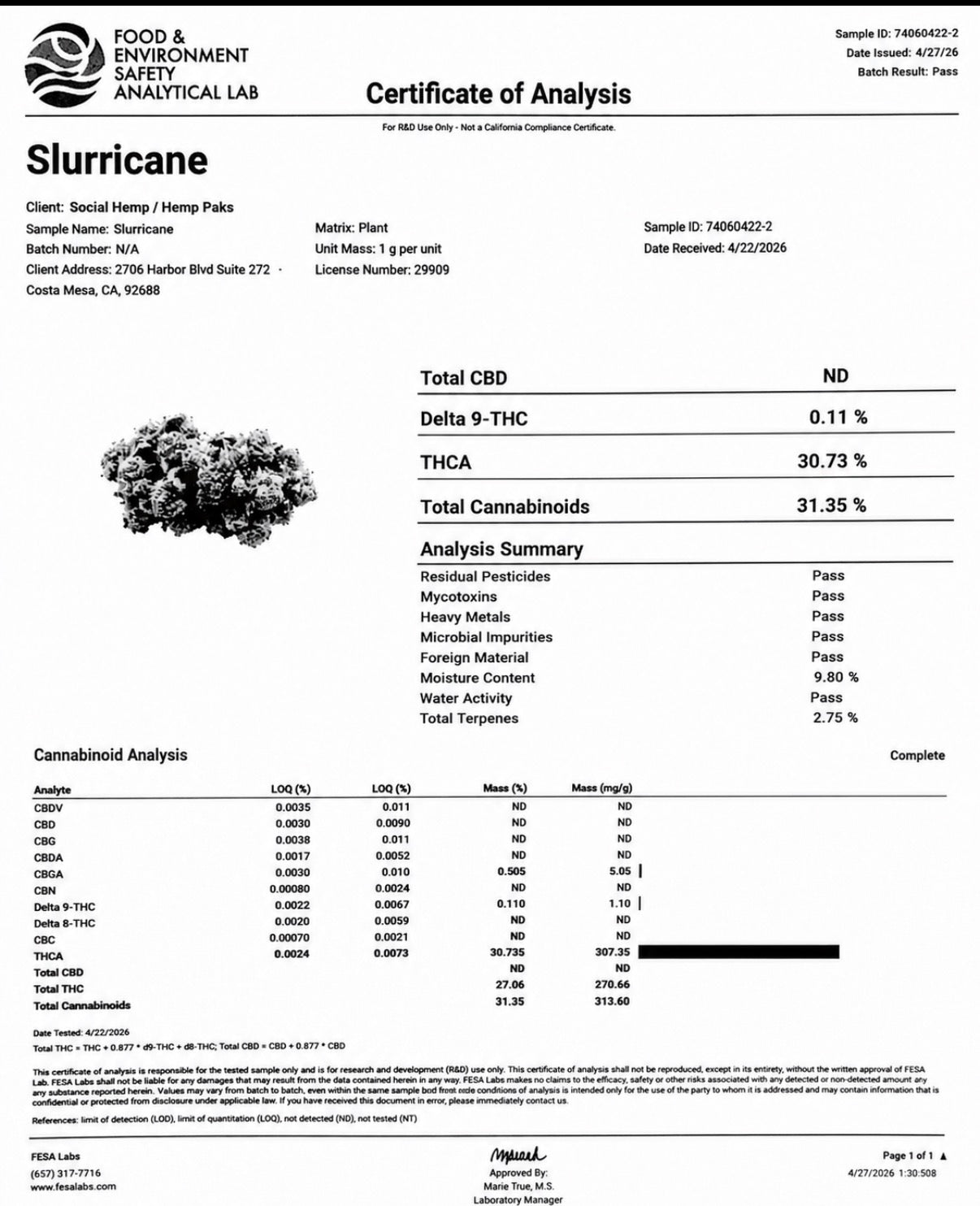THCa Flower | Slurricane Exotic