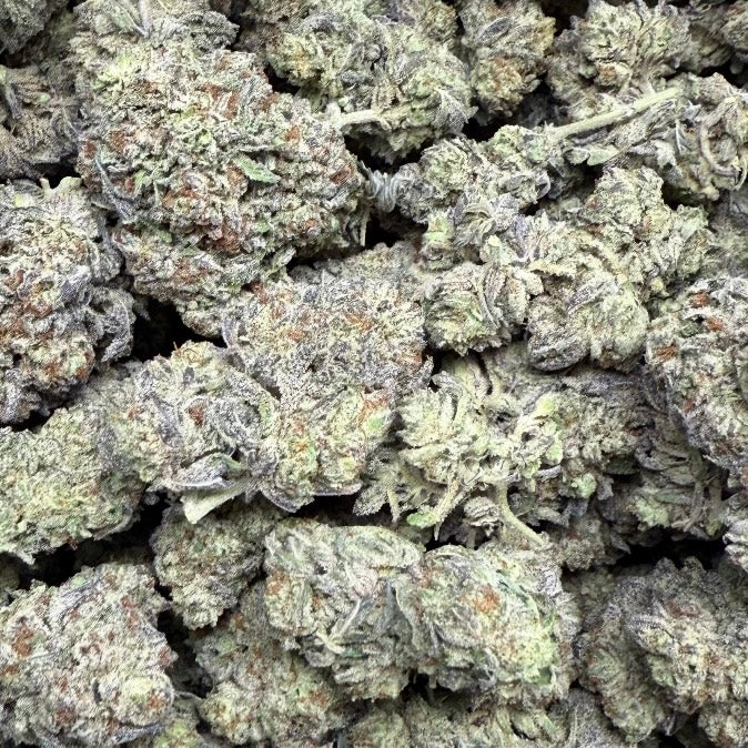 10g White Truffle THCa Flower