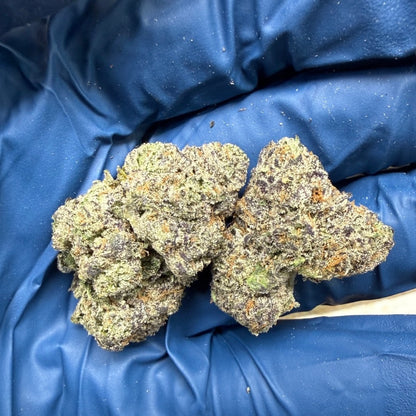 THCa Flower | Gelato Ice Exotic